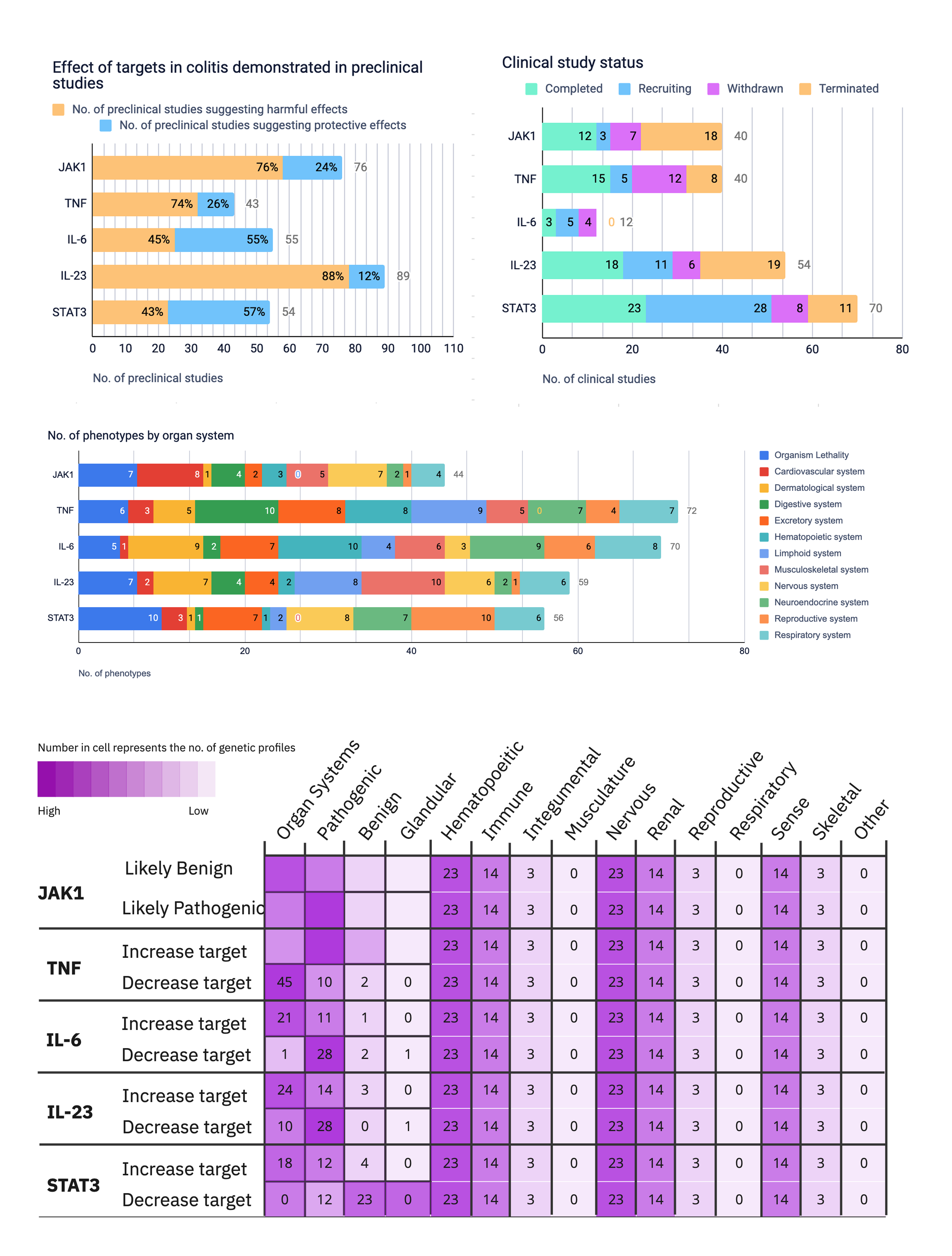 Different explorations for the graphs