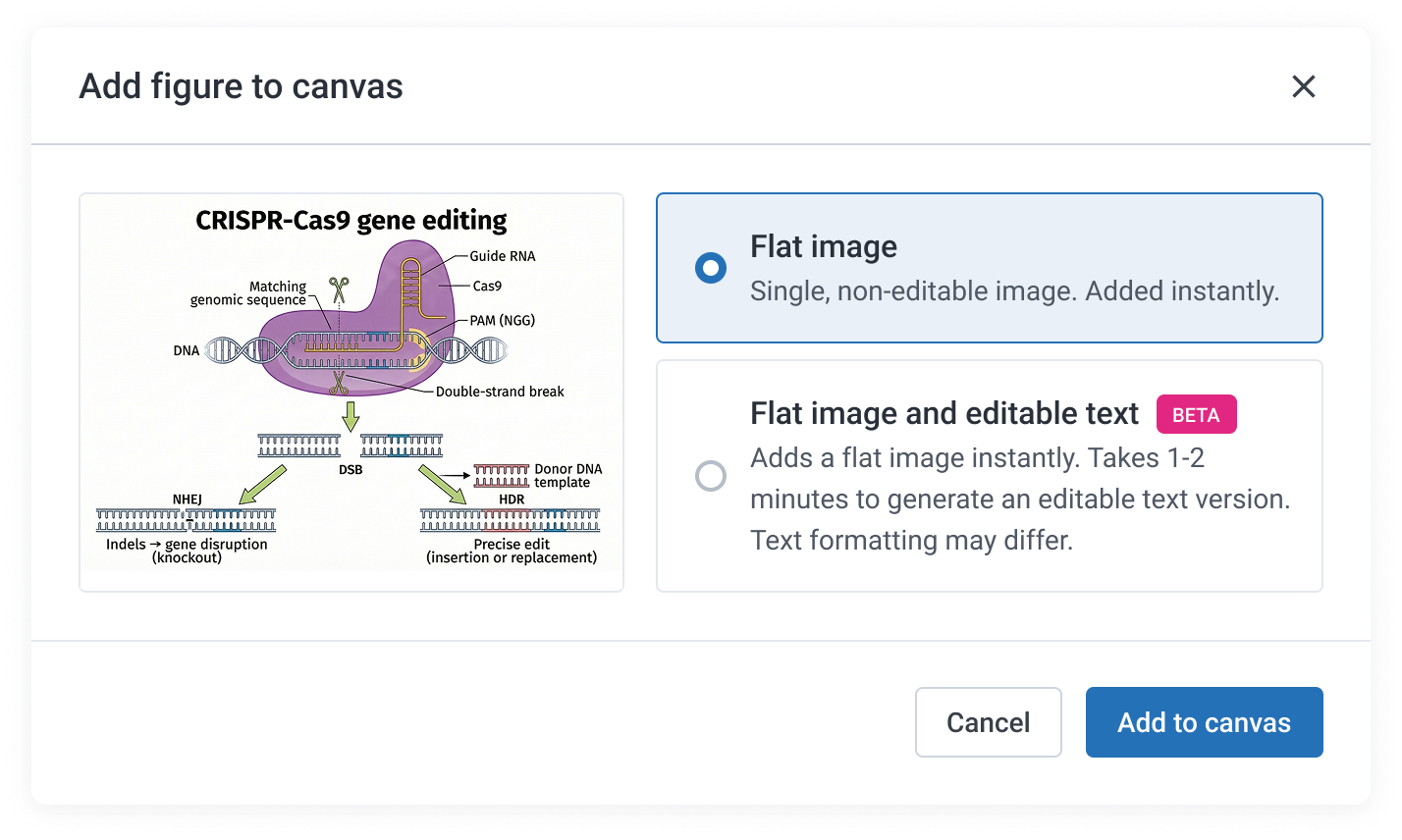 Text editability after